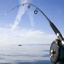 baiduimg.webp baiduimg.webp